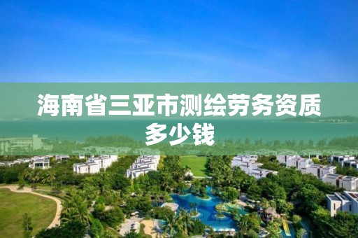 海南省三亞市測繪勞務資質多少錢