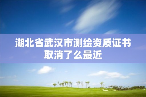 湖北省武漢市測繪資質證書取消了么最近