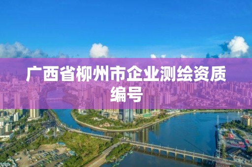 廣西省柳州市企業測繪資質編號