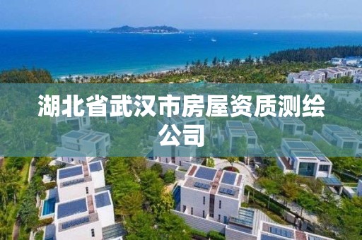 湖北省武漢市房屋資質(zhì)測(cè)繪公司