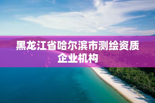 黑龍江省哈爾濱市測繪資質企業機構