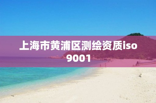 上海市黃浦區測繪資質iso9001