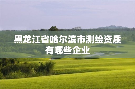 黑龍江省哈爾濱市測繪資質有哪些企業