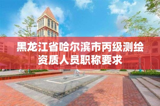 黑龍江省哈爾濱市丙級測繪資質人員職稱要求