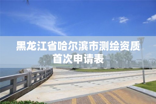 黑龍江省哈爾濱市測繪資質(zhì)首次申請表