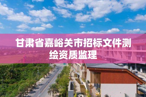 甘肅省嘉峪關市招標文件測繪資質監理