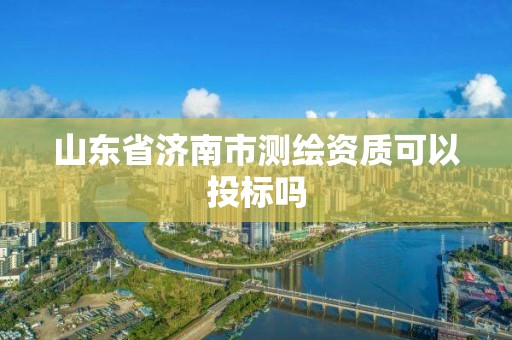 山東省濟南市測繪資質可以投標嗎