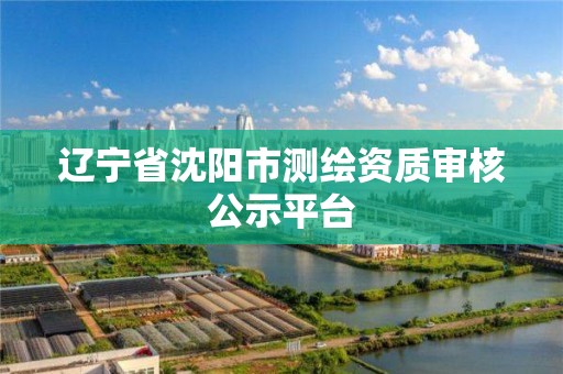 遼寧省沈陽市測繪資質審核公示平臺