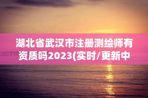 湖北省武漢市注冊測繪師有資質嗎2023(實時/更新中)