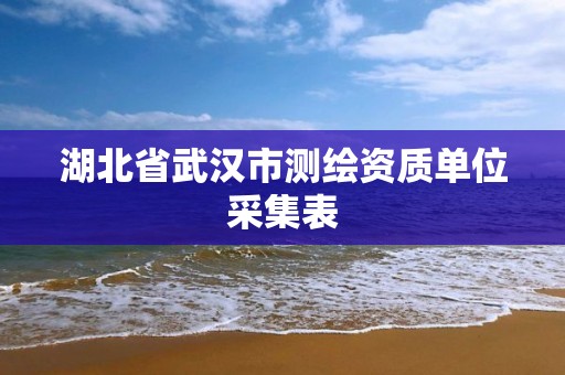 湖北省武漢市測繪資質單位采集表