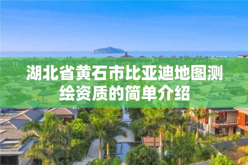 湖北省黃石市比亞迪地圖測繪資質的簡單介紹