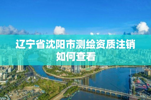 遼寧省沈陽市測繪資質注銷如何查看