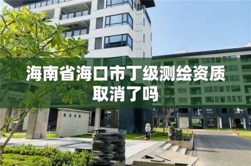 海南省海口市丁級測繪資質取消了嗎