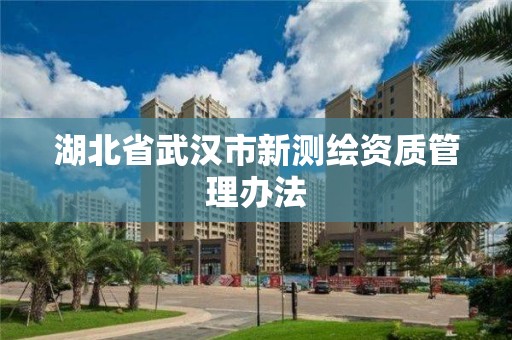 湖北省武漢市新測繪資質(zhì)管理辦法