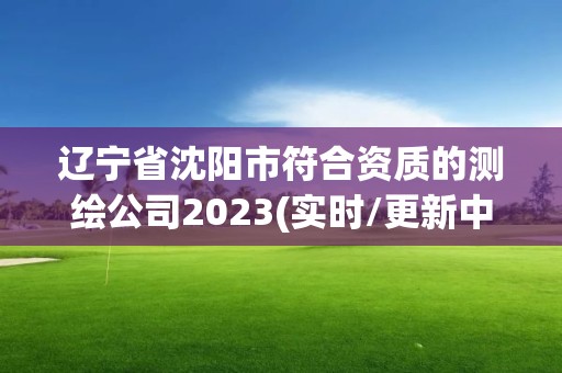 遼寧省沈陽市符合資質的測繪公司2023(實時/更新中)