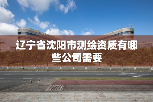 遼寧省沈陽市測繪資質有哪些公司需要