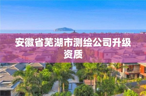 安徽省蕪湖市測(cè)繪公司升級(jí)資質(zhì)