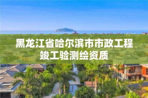 黑龍江省哈爾濱市市政工程竣工驗測繪資質