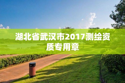 湖北省武漢市2017測繪資質專用章