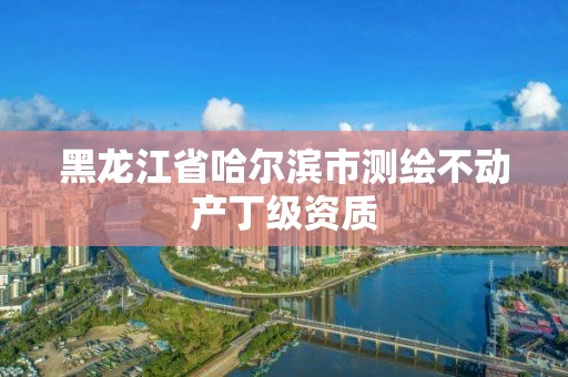 黑龍江省哈爾濱市測繪不動產丁級資質