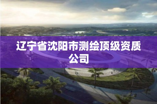 遼寧省沈陽市測繪頂級資質公司