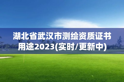 湖北省武漢市測繪資質證書用途2023(實時/更新中)