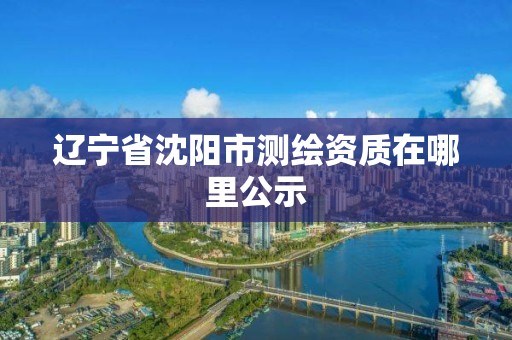 遼寧省沈陽(yáng)市測(cè)繪資質(zhì)在哪里公示