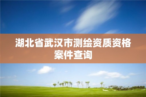 湖北省武漢市測(cè)繪資質(zhì)資格案件查詢