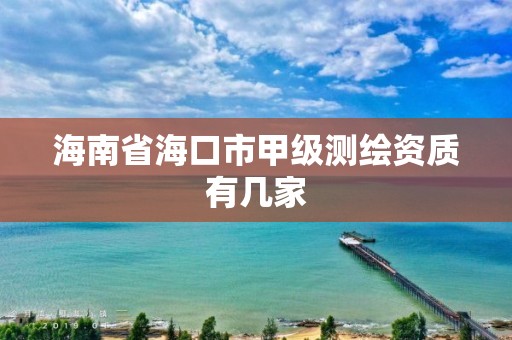 海南省海口市甲級測繪資質有幾家