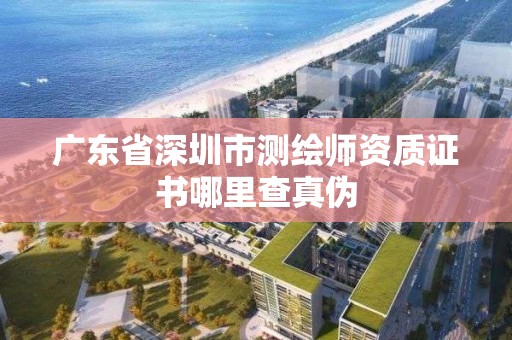 廣東省深圳市測繪師資質證書哪里查真偽