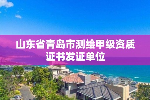 山東省青島市測繪甲級資質證書發證單位