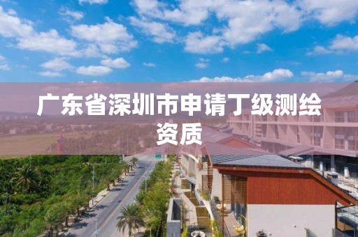 廣東省深圳市申請丁級測繪資質