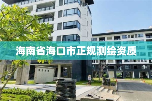 海南省海口市正規測繪資質