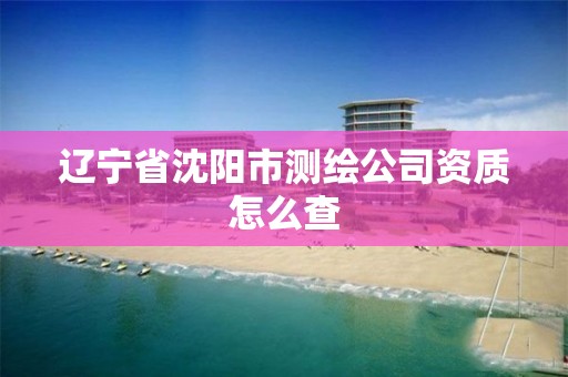 遼寧省沈陽市測繪公司資質怎么查