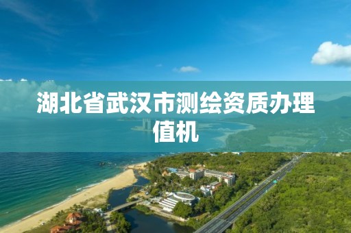 湖北省武漢市測繪資質辦理值機