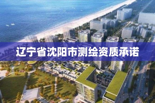 遼寧省沈陽市測繪資質承諾