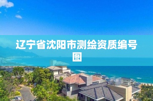 遼寧省沈陽市測繪資質編號圖