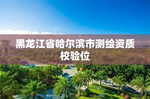 黑龍江省哈爾濱市測繪資質校驗位