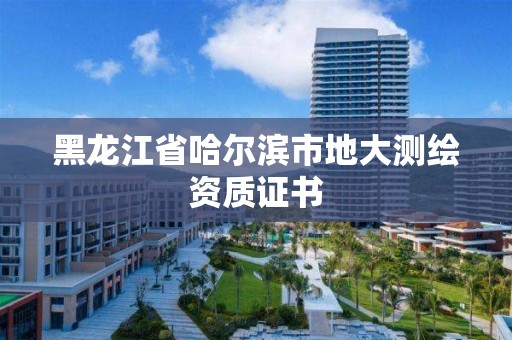 黑龍江省哈爾濱市地大測繪資質證書