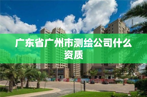 廣東省廣州市測繪公司什么資質