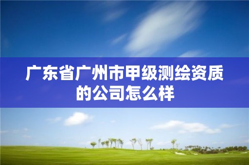 廣東省廣州市甲級測繪資質的公司怎么樣