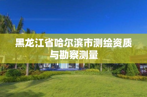 黑龍江省哈爾濱市測繪資質與勘察測量