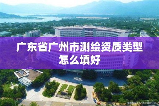 廣東省廣州市測繪資質(zhì)類型怎么填好