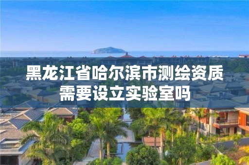 黑龍江省哈爾濱市測繪資質需要設立實驗室嗎