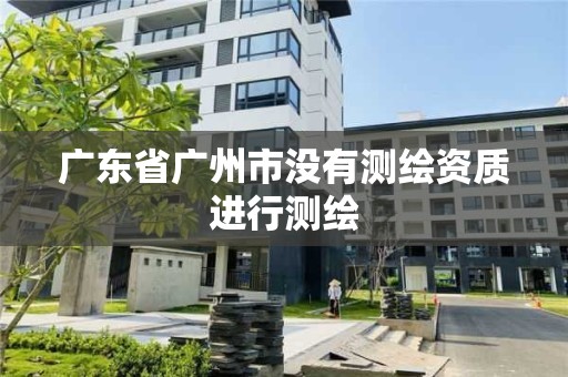 廣東省廣州市沒有測繪資質進行測繪