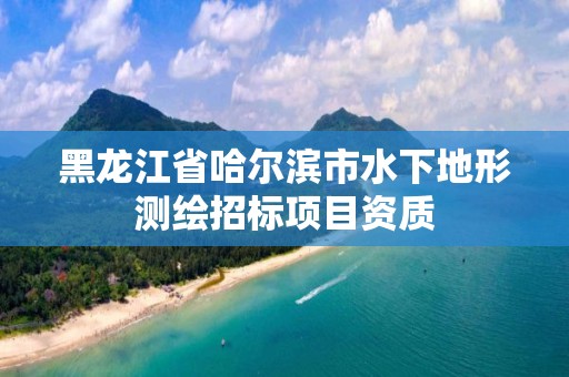 黑龍江省哈爾濱市水下地形測繪招標項目資質