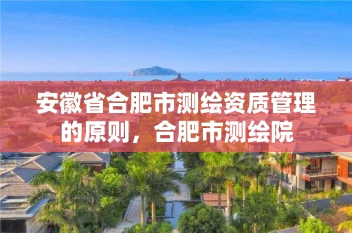 安徽省合肥市測繪資質管理的原則，合肥市測繪院