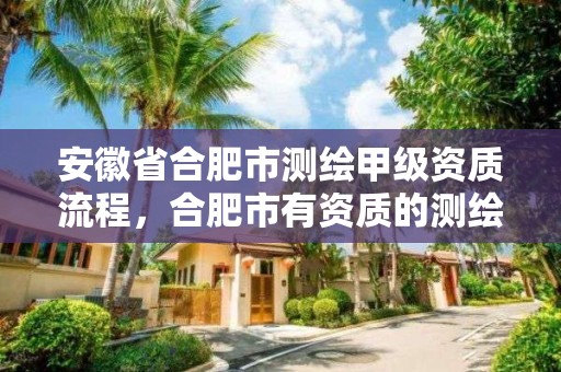 安徽省合肥市測繪甲級資質(zhì)流程，合肥市有資質(zhì)的測繪公司