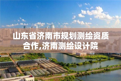 山東省濟南市規劃測繪資質合作,濟南測繪設計院