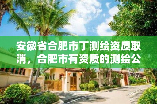 安徽省合肥市丁測繪資質取消，合肥市有資質的測繪公司